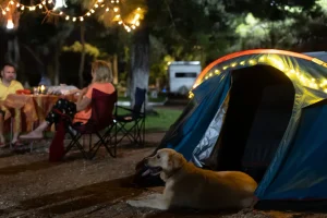 Dog and family and RV campground at night